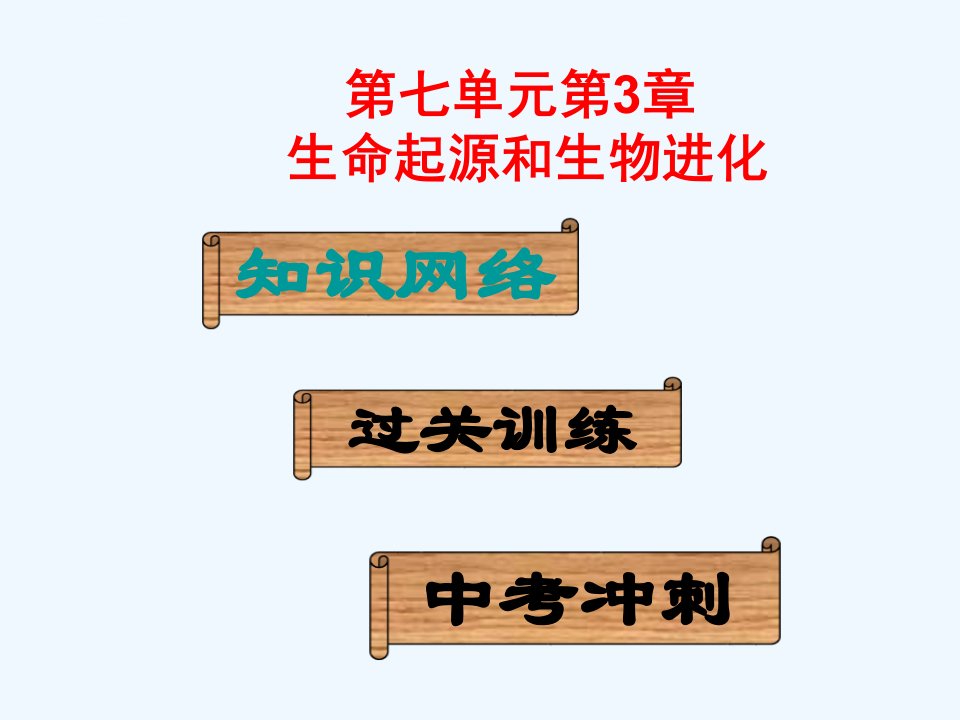 生物人教版八年级下册生命起源和生物进化复习课ppt课件