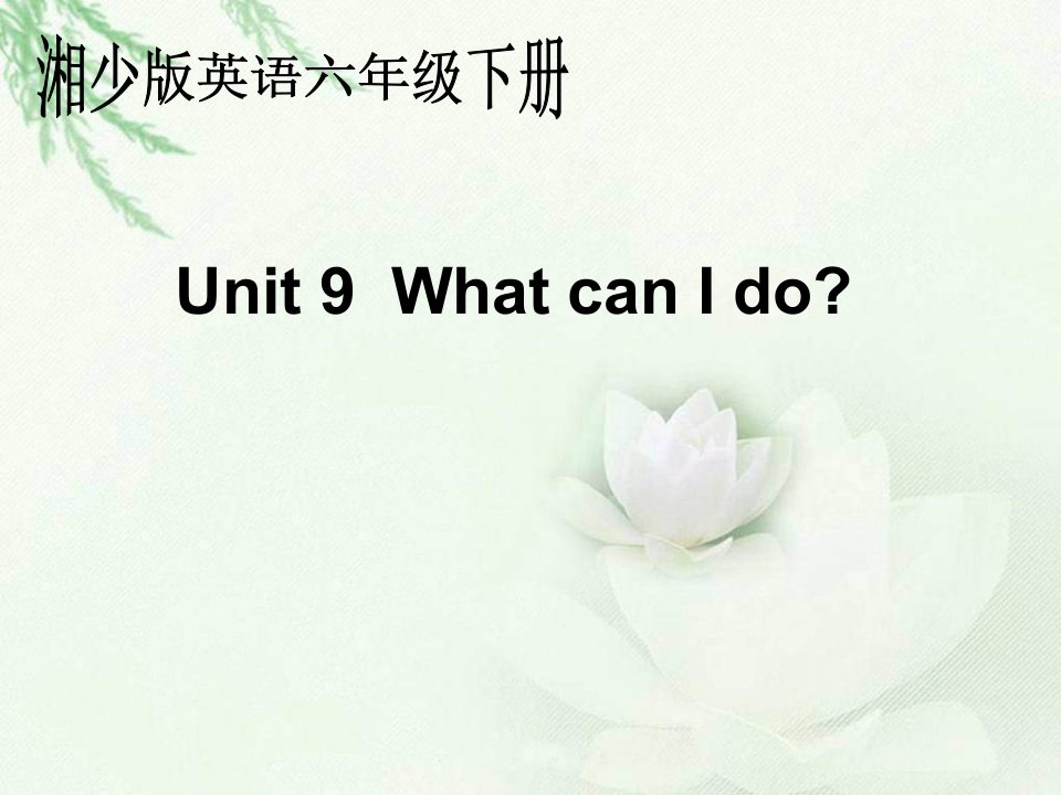 湘少版六下《Unit