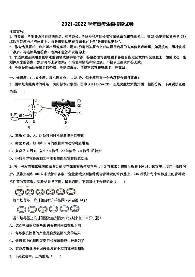 2022年广东省惠东县惠东高级中学高三第三次模拟考试生物试卷含解析