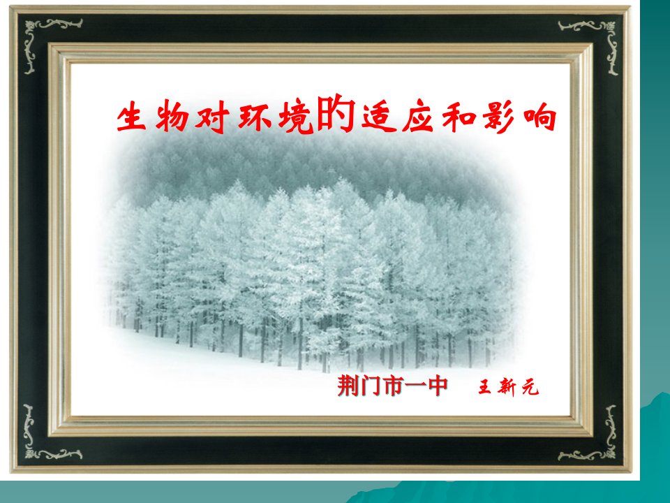 生物对环境的适应和影响王新元公开课获奖课件省赛课一等奖课件