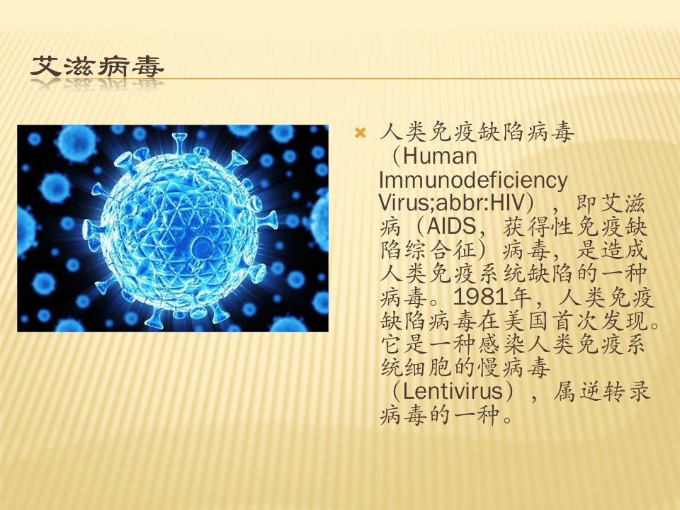 珍爱生命远离艾滋主题班会