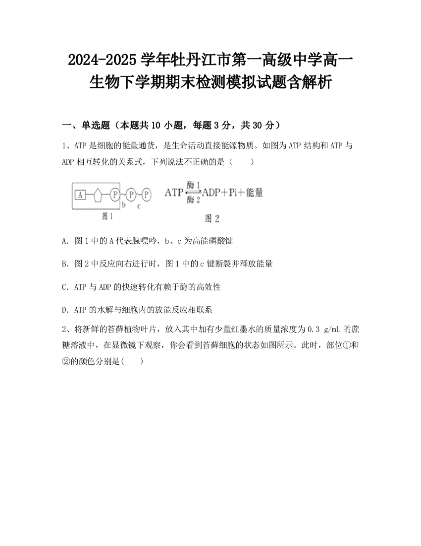 2024-2025学年牡丹江市第一高级中学高一生物下学期期末检测模拟试题含解析