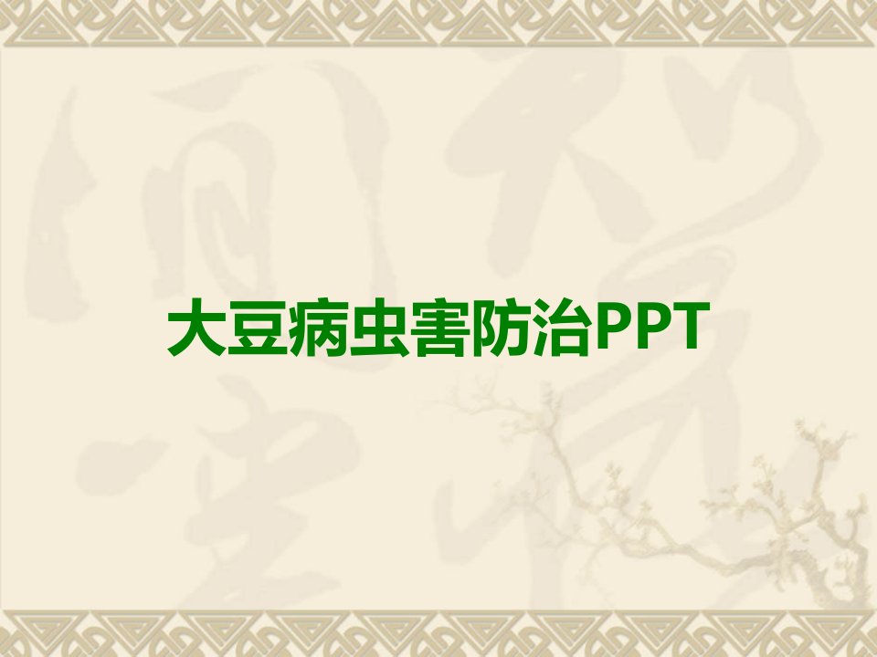 大豆病虫害防治PPT课件