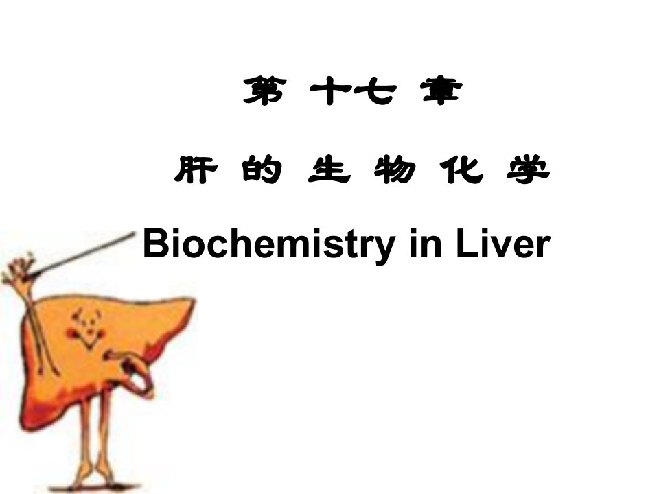 《肝的生化》PPT课件