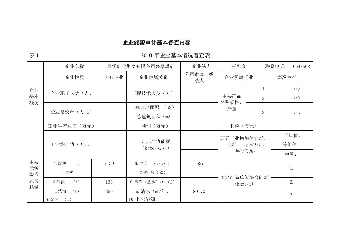 兴阜煤矿地面企业能源审计基本普查内容模板