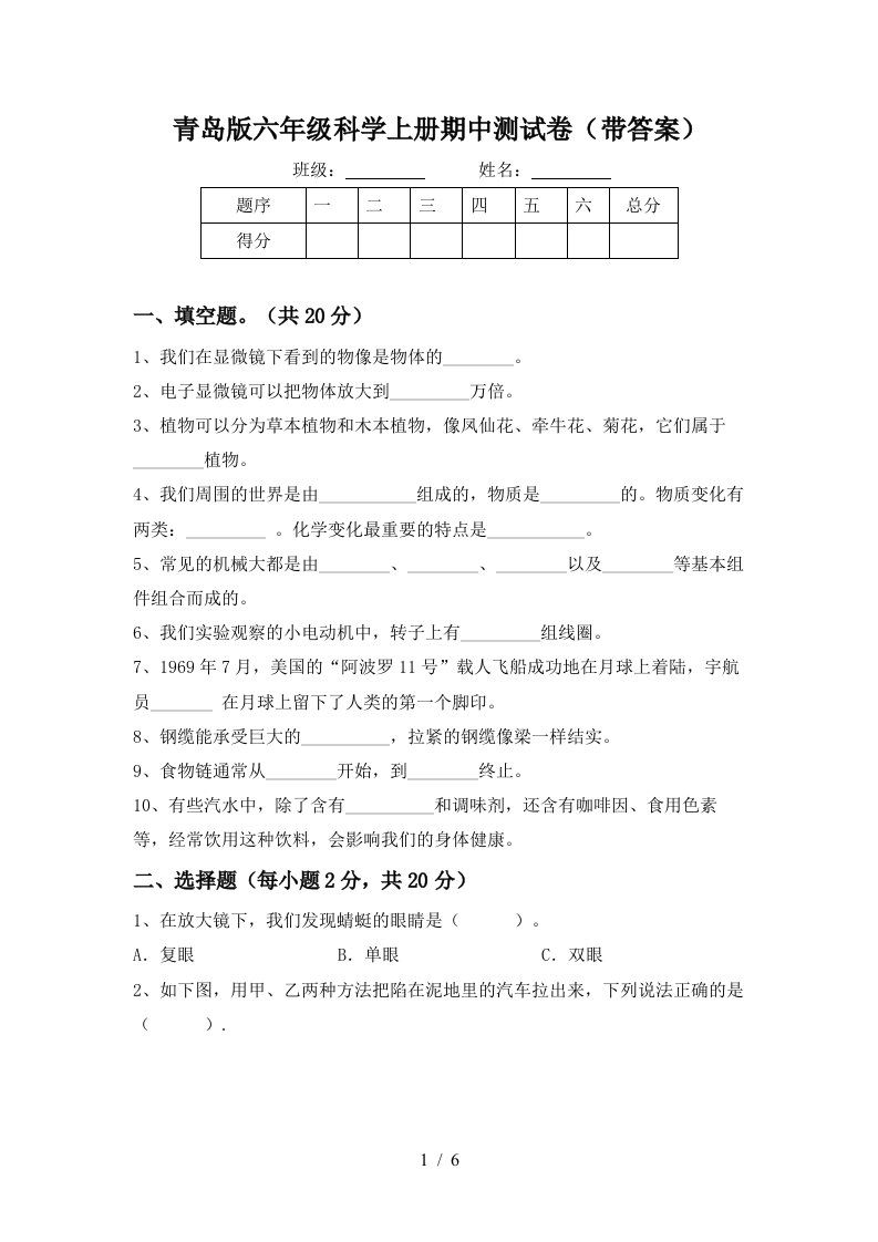 青岛版六年级科学上册期中测试卷带答案