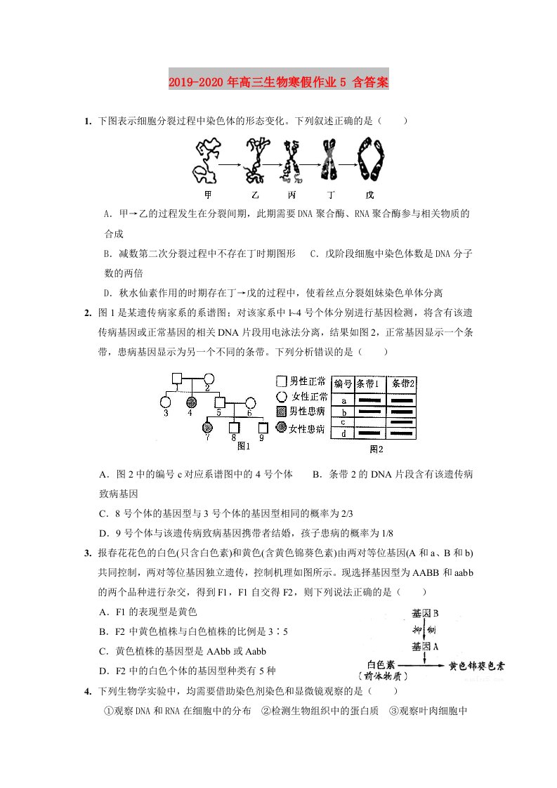 2019-2020年高三生物寒假作业5