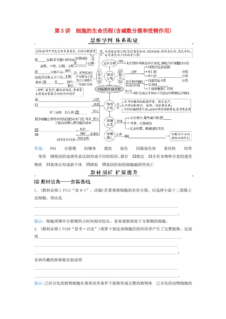 2024届高考生物二轮专题复习与测试专题三细胞的生命历程第5讲细胞的生命历程含减数分裂和受精作用考点一有丝分裂和减数分裂的比较
