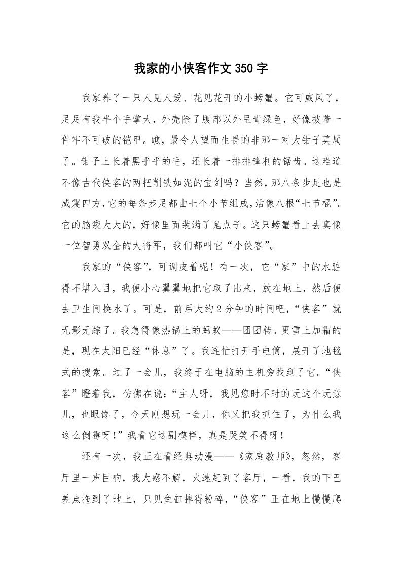 我家的小侠客作文350字