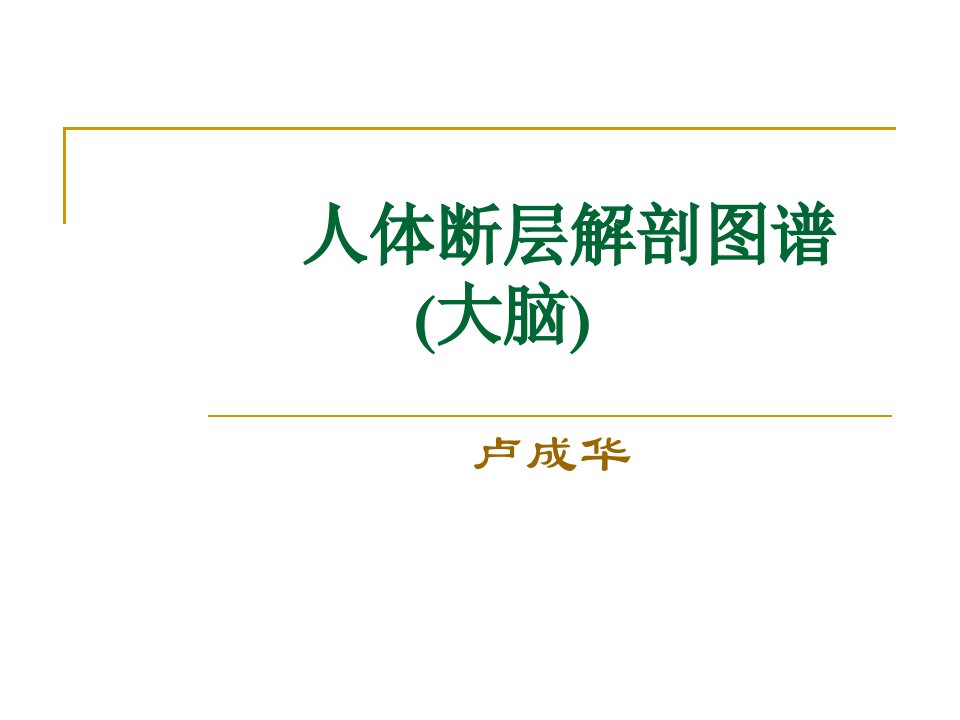 人体断层解剖图谱大脑