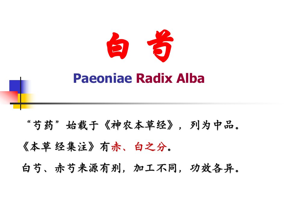 白芍-课件（ppt·精选）