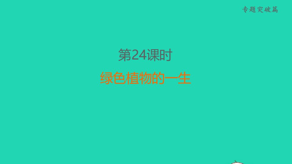 福建省2022年中考生物专题突破篇第24课时绿色植物的一生课后练本课件