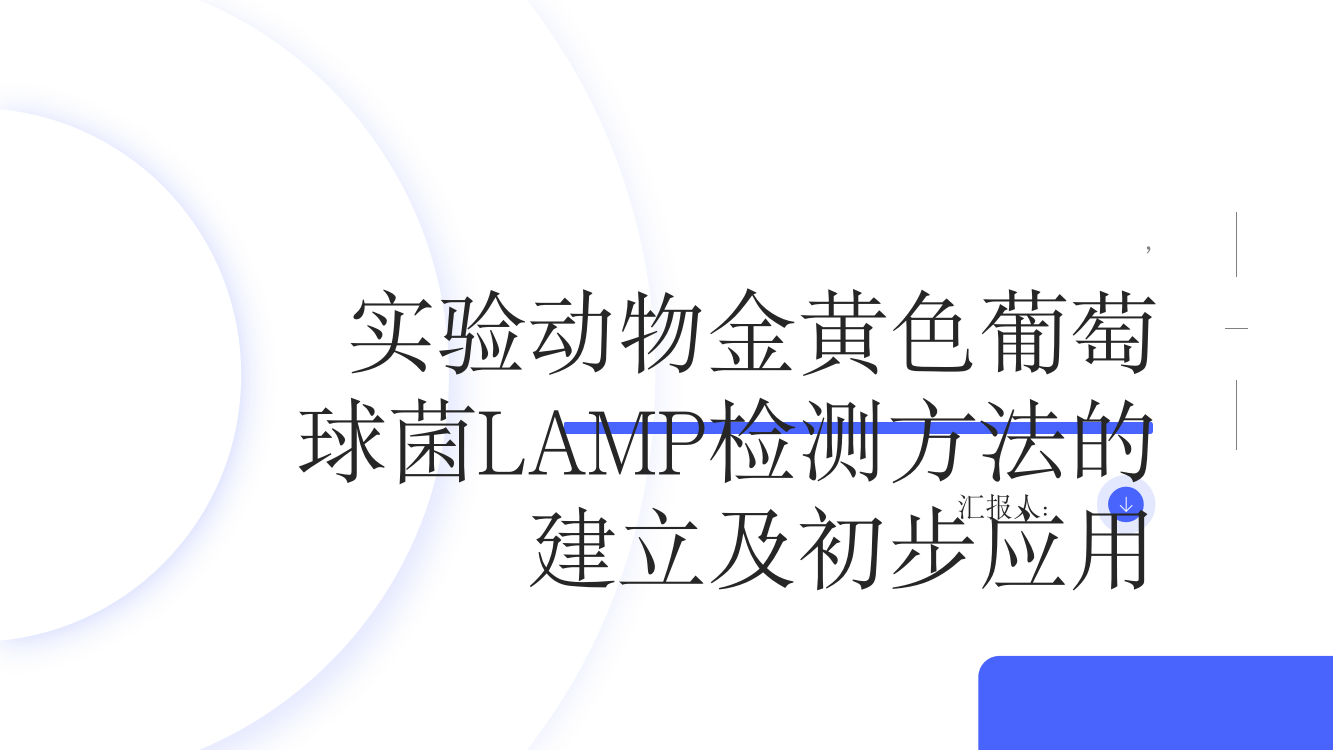 实验动物金黄色葡萄球菌LAMP检测方法的建立及初步应用