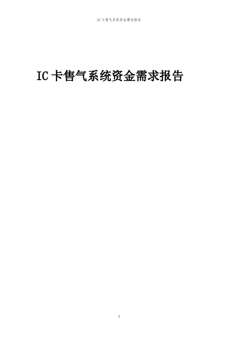 2024年IC卡售气系统项目资金需求报告代可行性研究报告