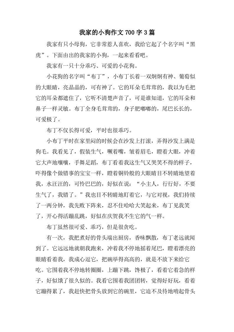 我家的小狗作文700字3篇