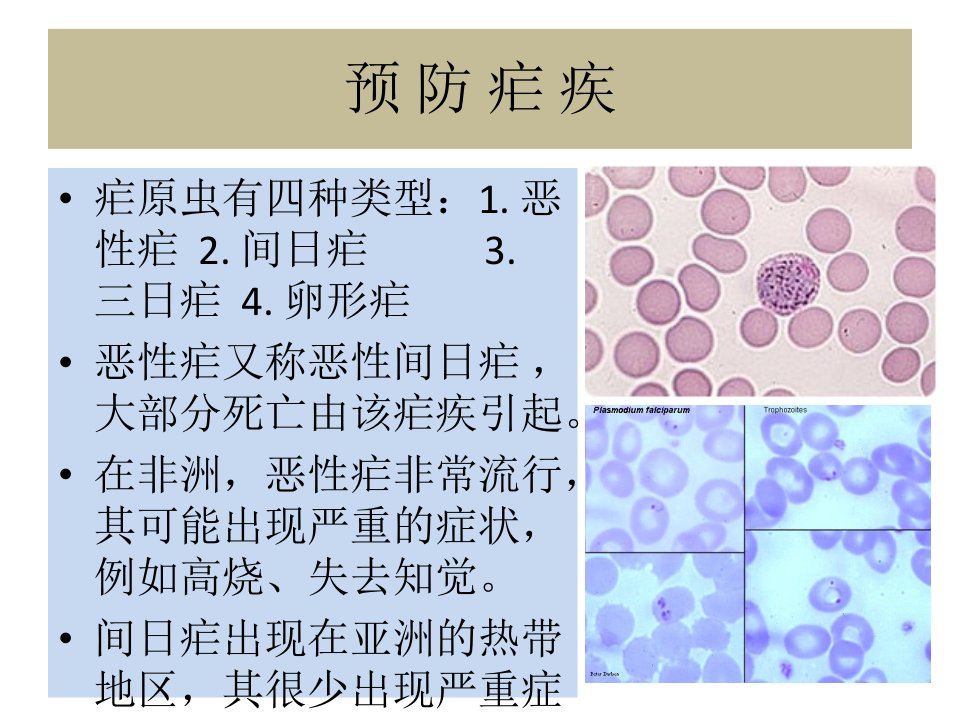 预防疟疾