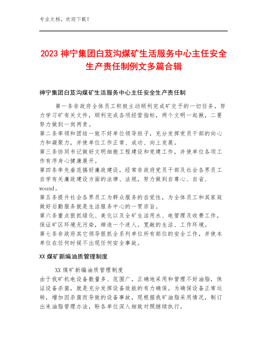 2023神宁集团白芨沟煤矿生活服务中心主任安全生产责任制例文多篇合辑