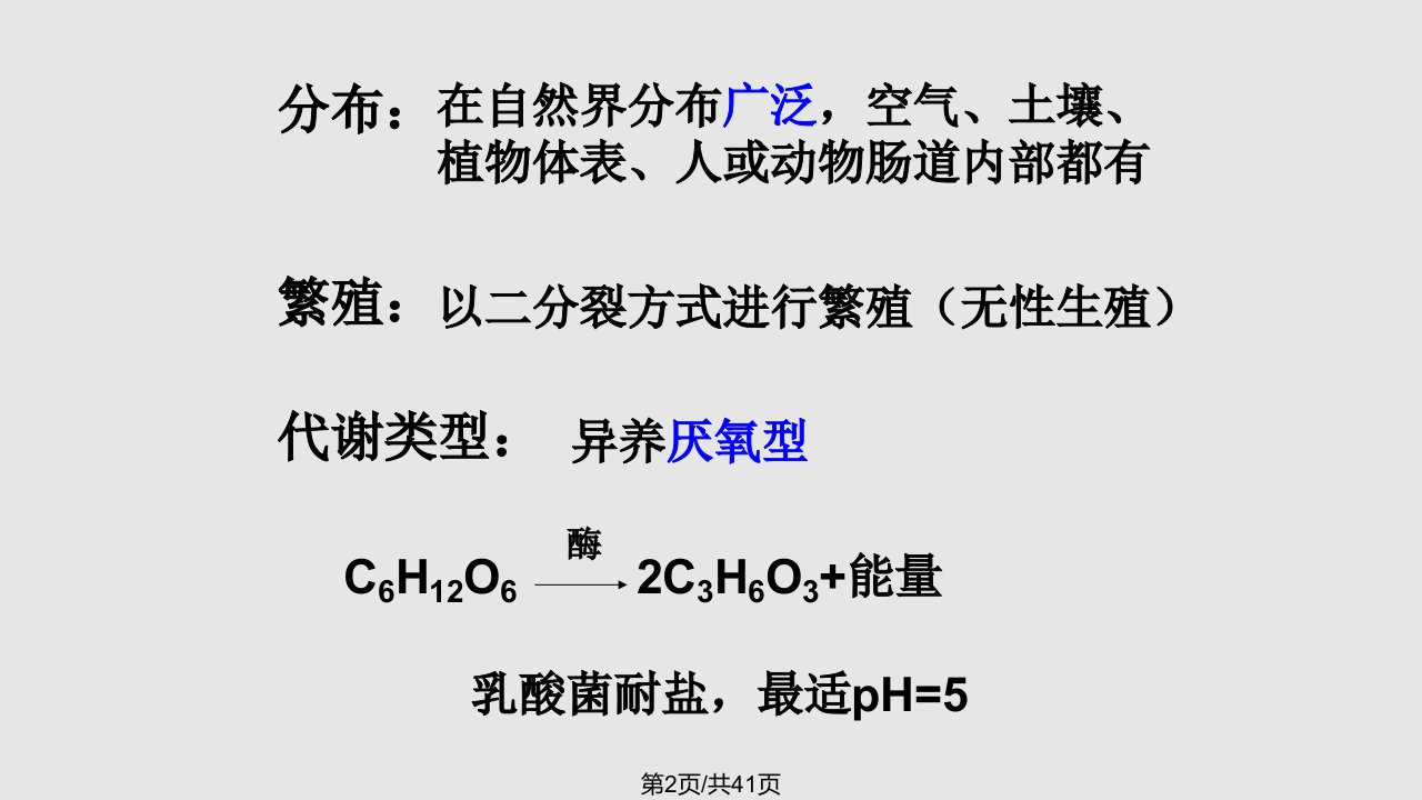 泡菜的制作学习