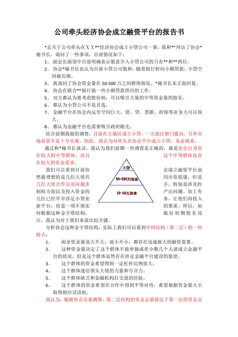 公司牵头经济协会成立融资平台的报告书