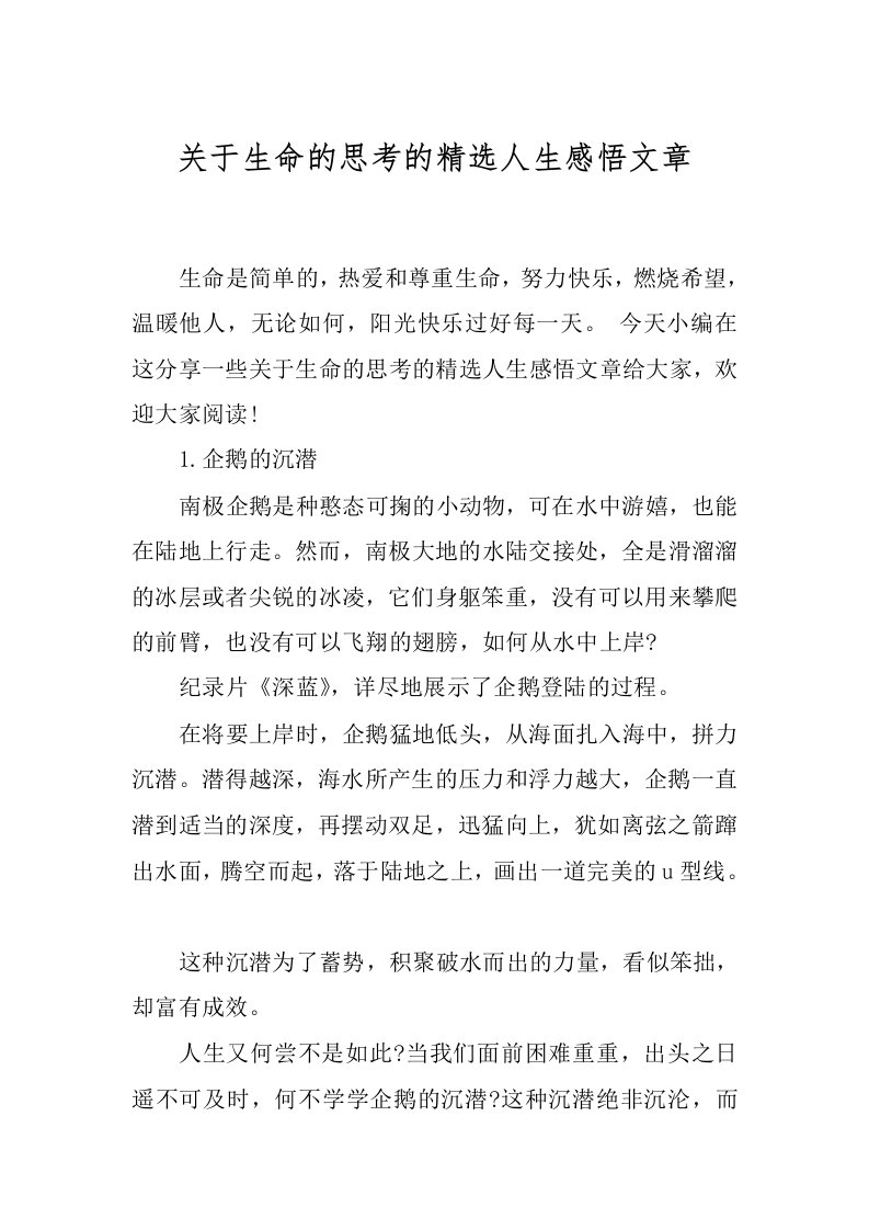 关于生命的思考的精选人生感悟文章