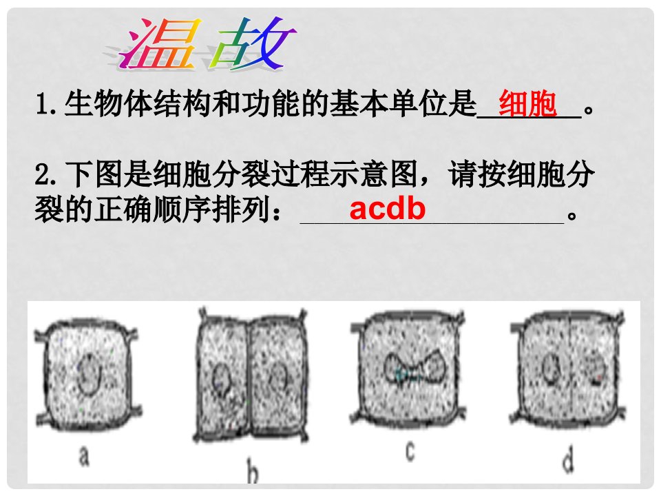 七年级生物上册