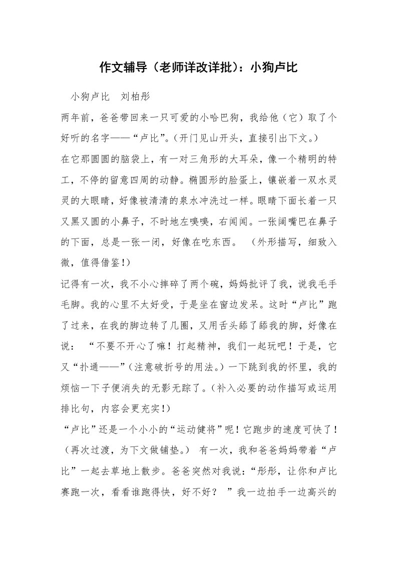 作文辅导（老师详改详批）：小狗卢比