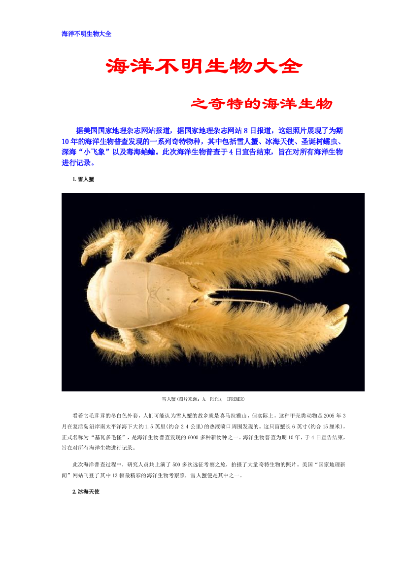 海洋不明生物大全之奇特的海洋生物