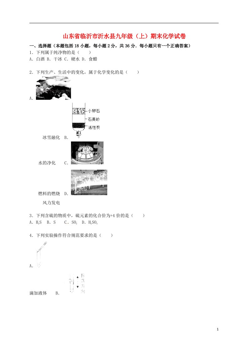 山东省临沂市沂水县九级化学上学期期末试题（含解析）