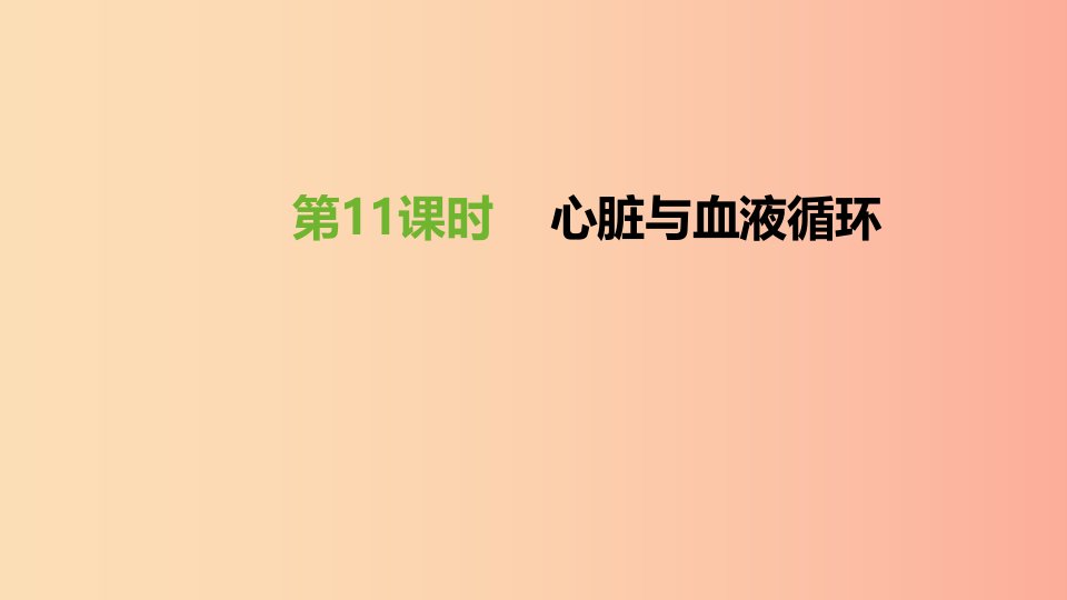 江苏省徐州市2019年中考生物复习第五单元生命活动的调节和生态系统的稳定第11课时心脏与血液循环课件