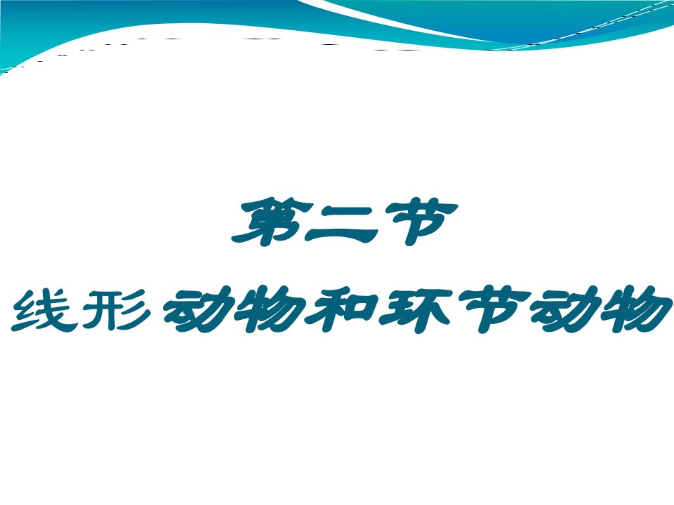 生物八上线形动物和环节动物