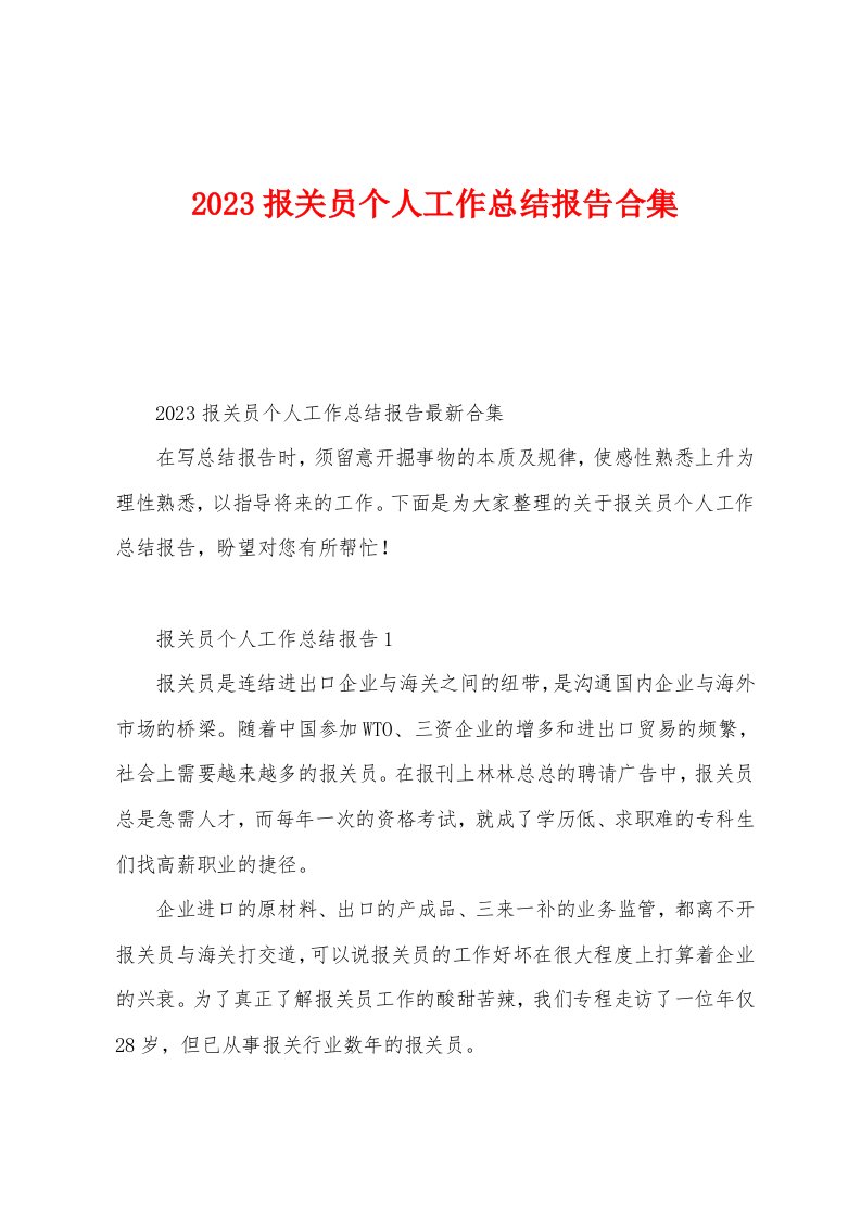 2023年报关员个人工作总结报告