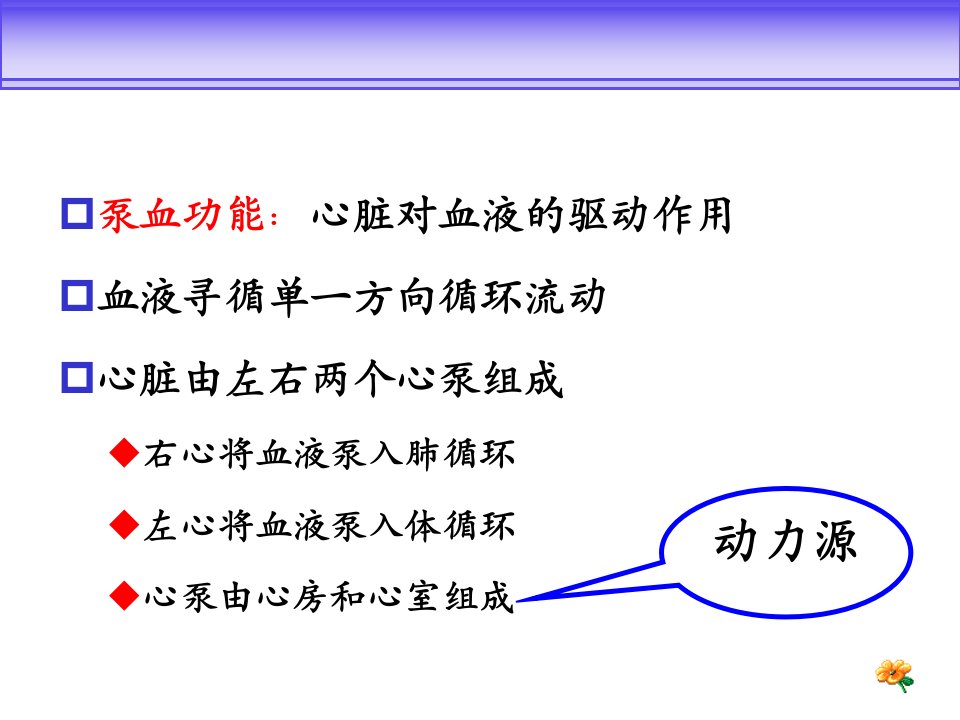 医学老师课件人体解剖生理学心脏的泵血功能血管生理