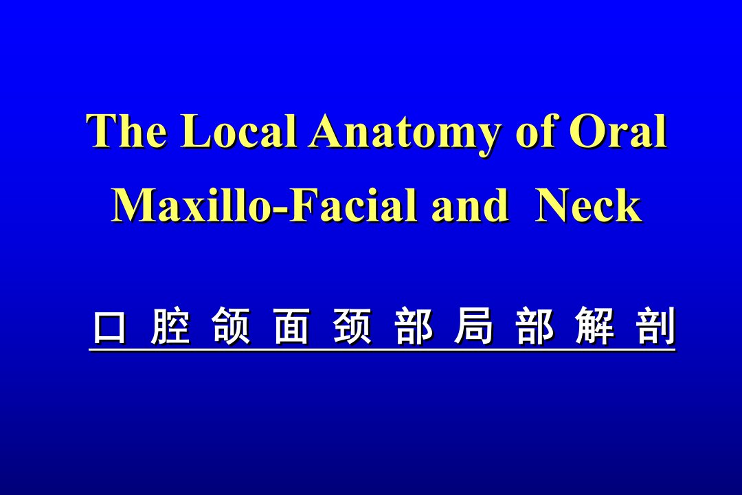 口腔颌面颈部局部解剖PPT课件
