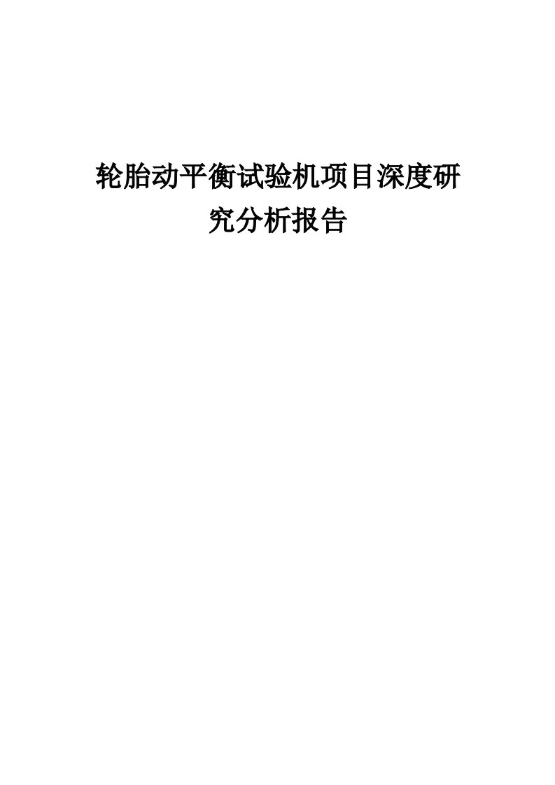 2024年轮胎动平衡试验机项目深度研究分析报告