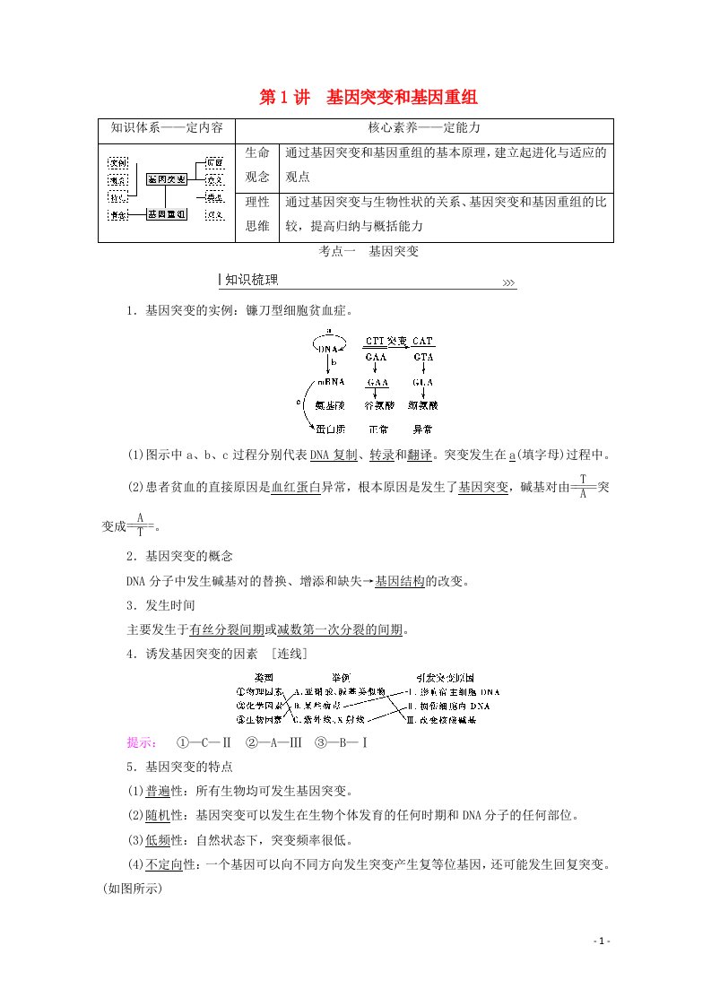 2022届高考生物一轮复习第七单元生物的变异育种与进化第1讲基因突变和基因重组教案新人教版