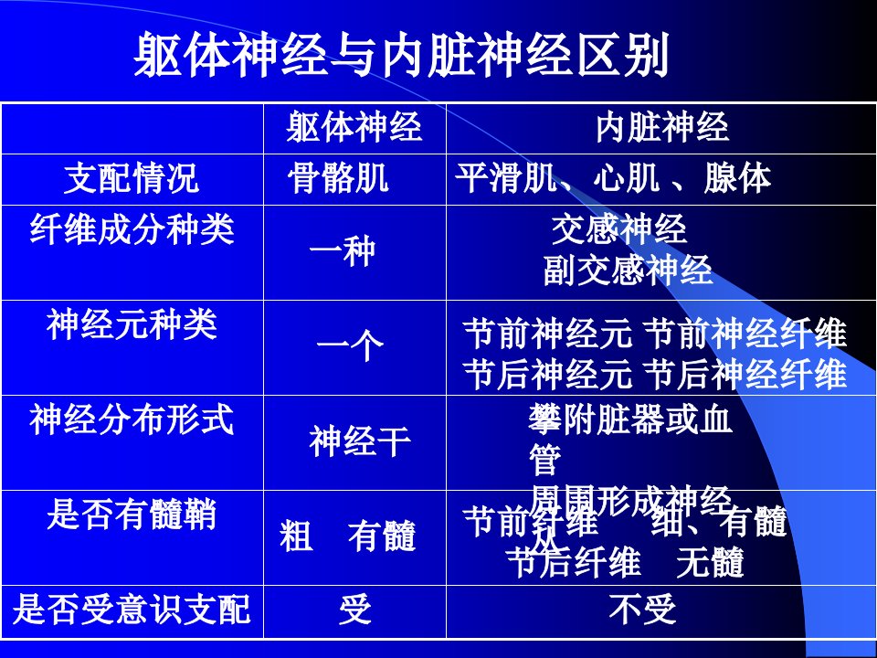 神经解剖内脏神经ppt课件