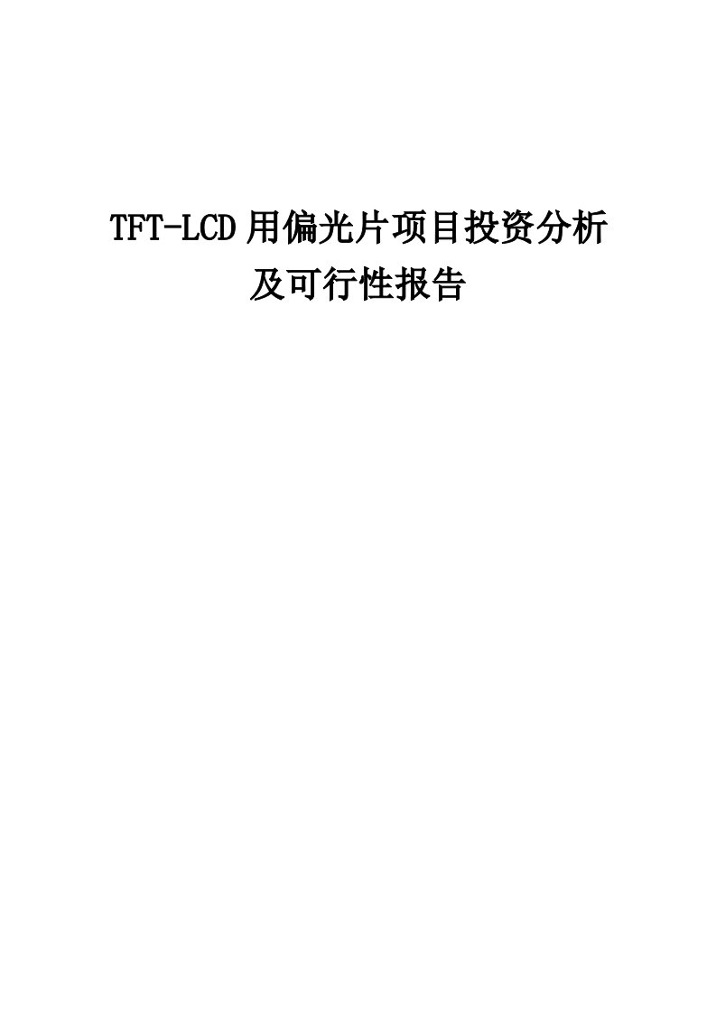 2024年TFT-LCD用偏光片项目投资分析及可行性报告