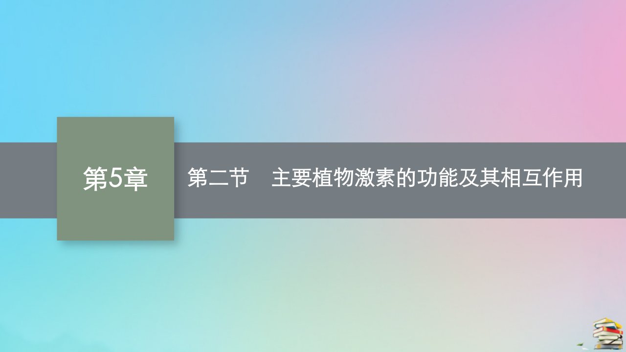 新教材适用高中生物第5章植物生命活动的调节第二节主要植物激素的功能及其相互作用课件北师大版选择性必修1