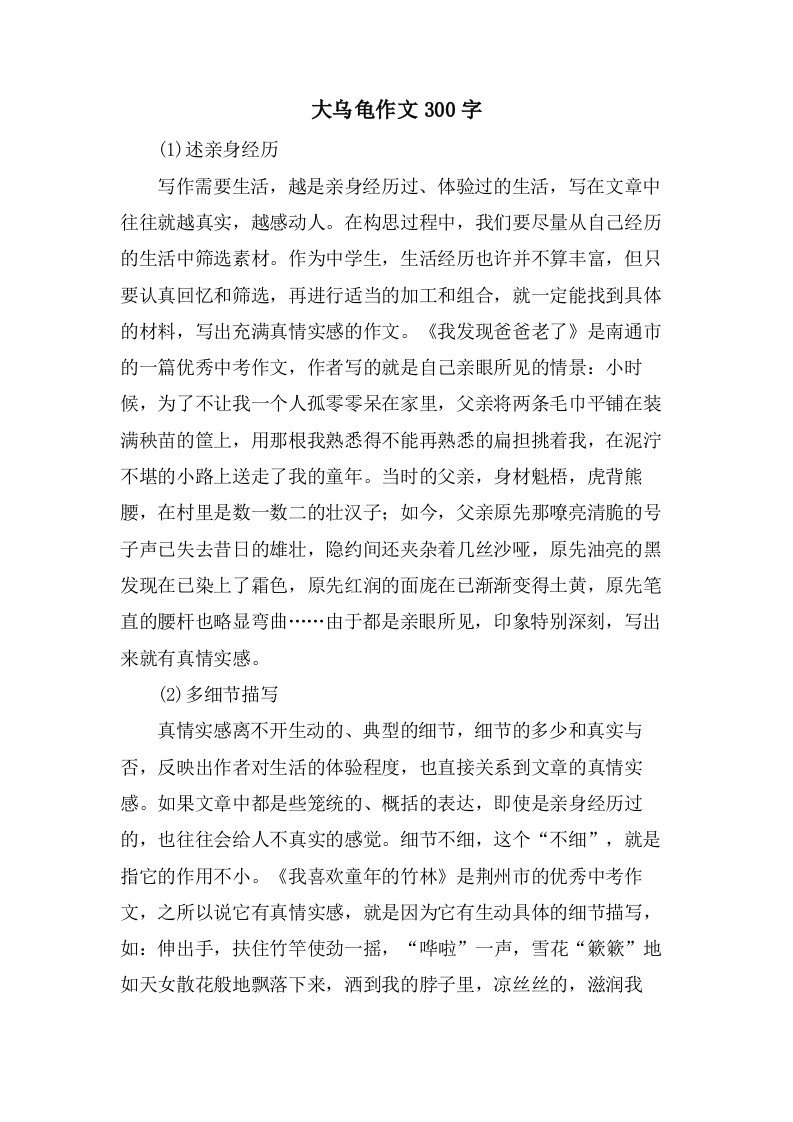 大乌龟作文300字