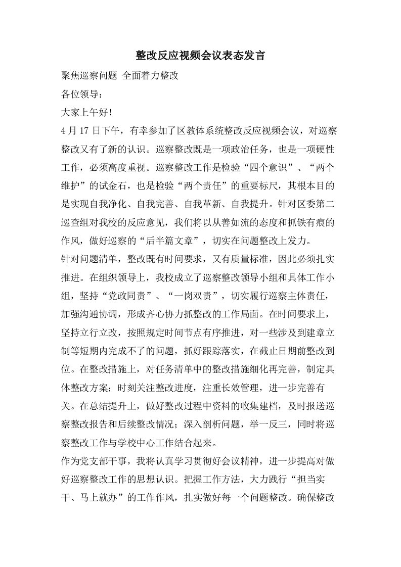 整改反馈视频会议表态发言