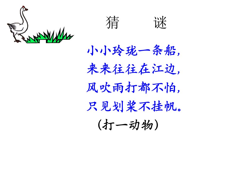 2009年陈金龙白鹅