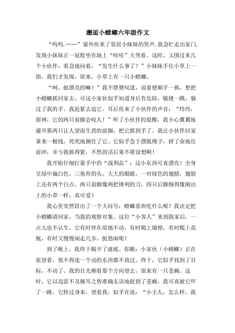 邂逅小螳螂六年级作文