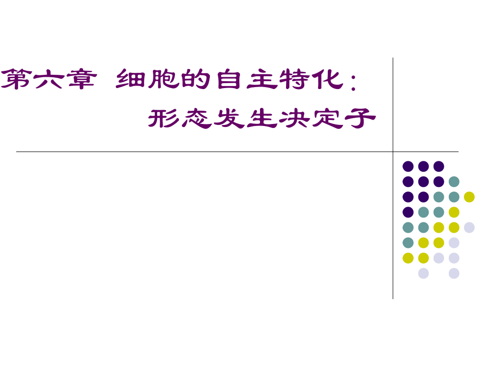 第6章细胞的自主特化：形态发生决定子ppt课件