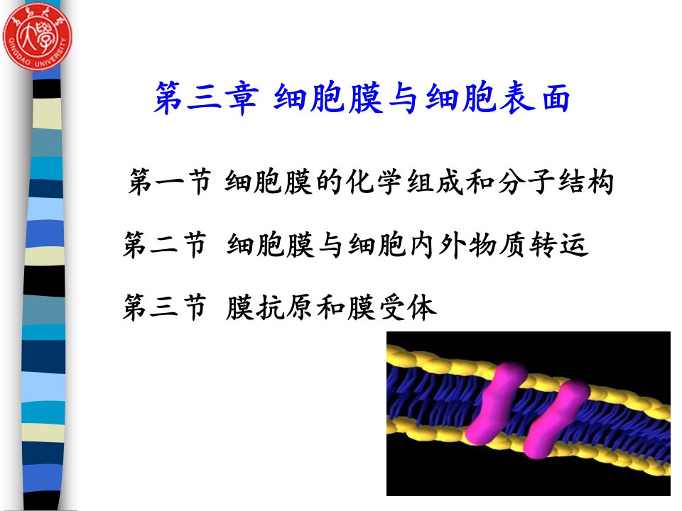 细胞生物学第三章细胞膜与细胞表面1