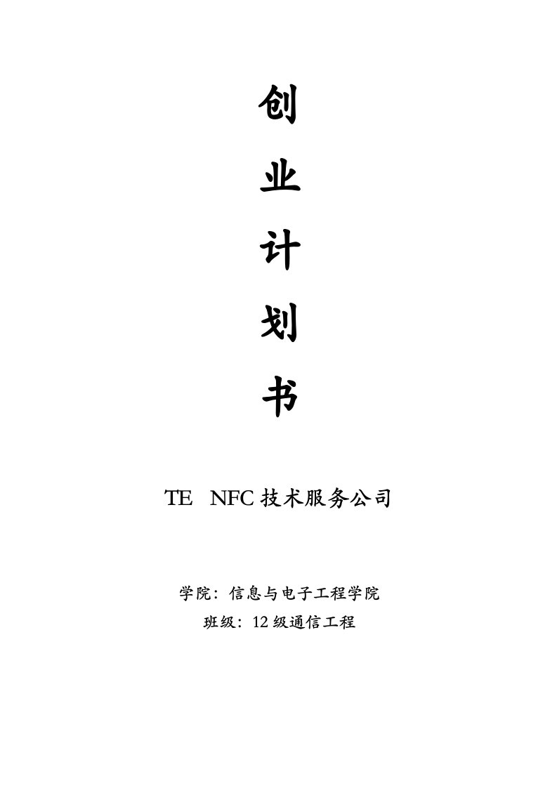 TENFC技术服务公司创业计划书