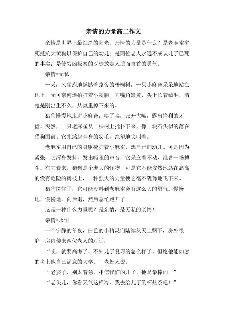 亲情的力量高二作文