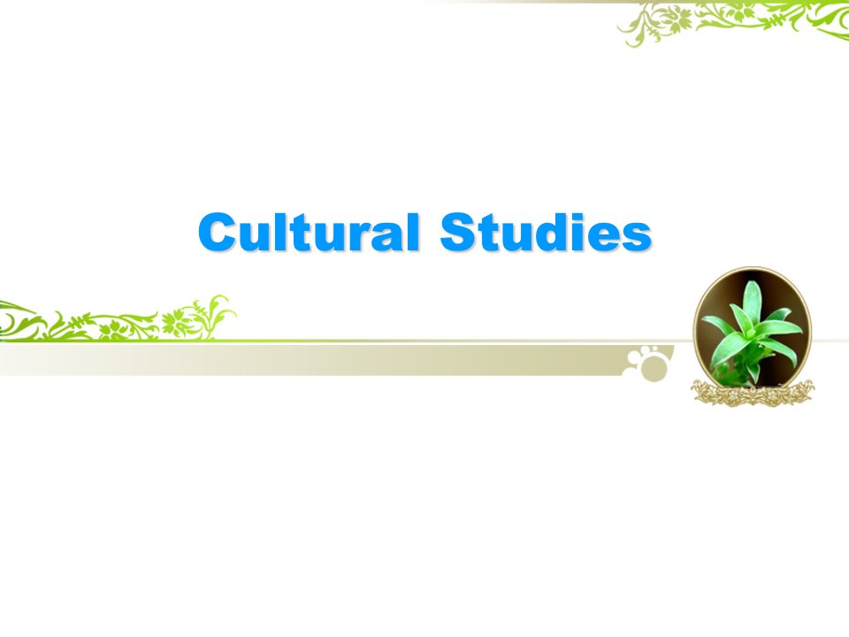 cultural-studies-(西方文论—文化研究)英文完整版ppt