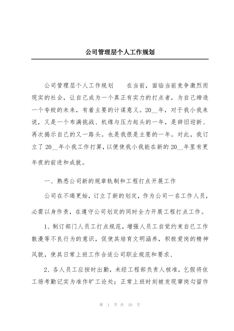 公司管理层个人工作规划