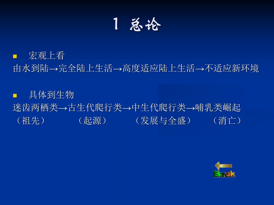 总论爬行动物的起源爬行动物的演化衰亡与新希望