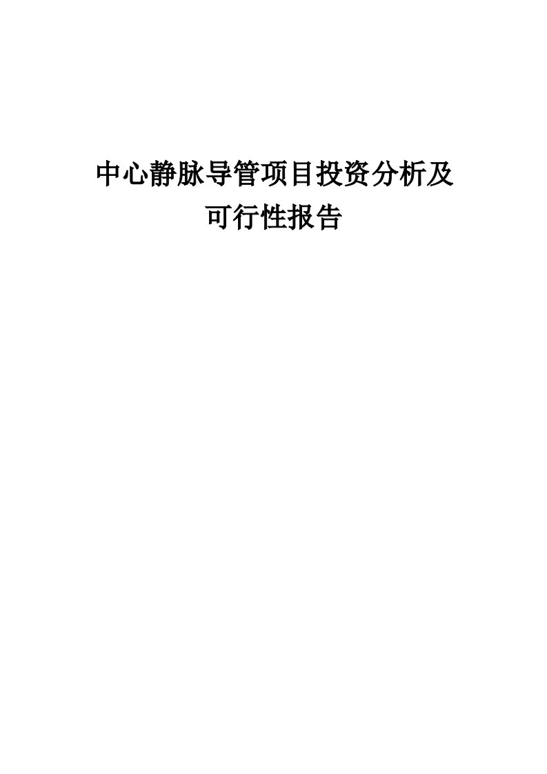 2024年中心静脉导管项目投资分析及可行性报告